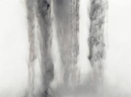 The Veil