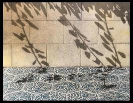 Zenithal Light