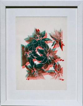 Poinsettias