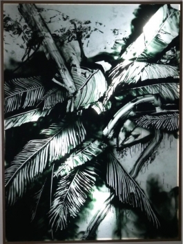 Berlin Plant II