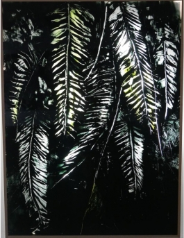 Berlin Plant III
