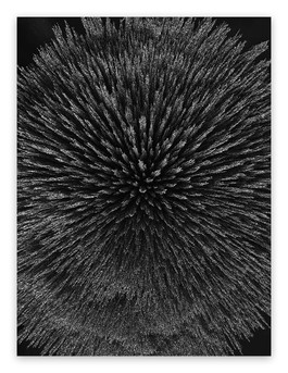 Magnetic Radiation 99 (Large)