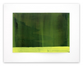 Witch Hazel 3