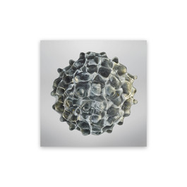 Résonance - water drop 84 (Medium)