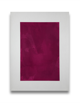 A color of Sumac 2