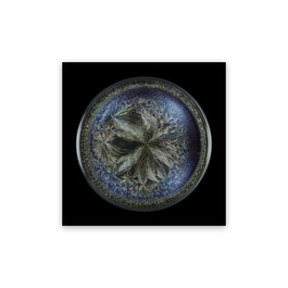 Morphogenetic Field - Beluga Caviar (Medium)