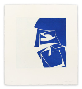 Covers 3 Cobalt