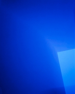 CHANCE/FALL (8), 2010