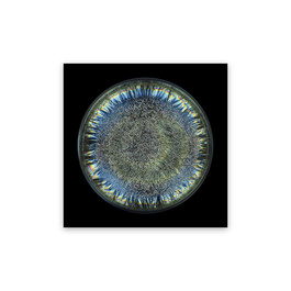 Morphogenetic Field - AB Negative Blood (Medium)