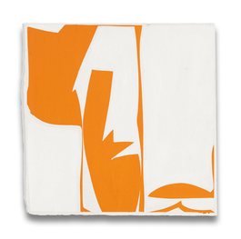 Covers 13-Orange