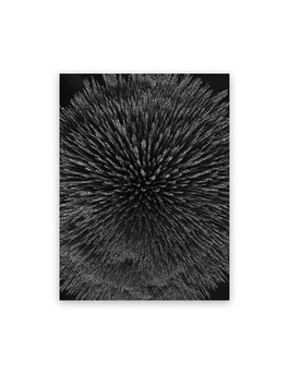 Magnetic Radiation 99 (Medium)