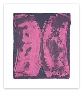 Ribs 12