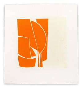 Covers 1 Orange