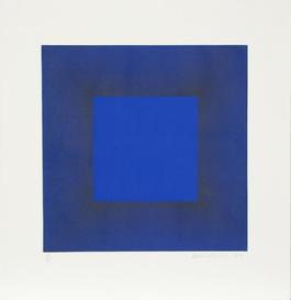 Midnight Suite (Blue with Black)