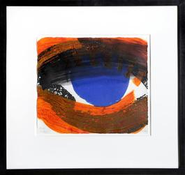 Eye
