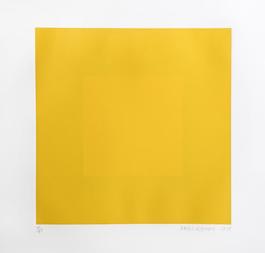 Yellow with Yellow from the Spring Suite