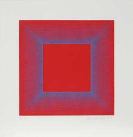 Summer Suite (Red with Blue)