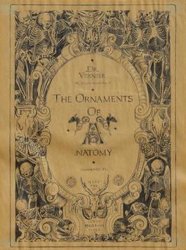 The Ornaments of Anatomy