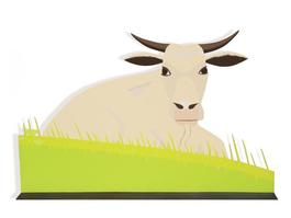 Maine Cow