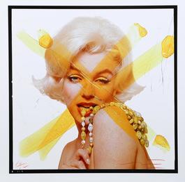 Marilyn Monroe: The Last Sitting