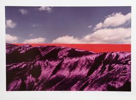 Purple Majesty
