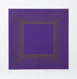 Midnight Suite (Purple with Silver)