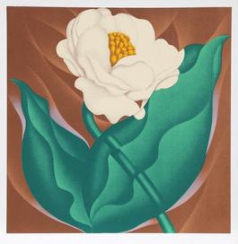 Globe Flower