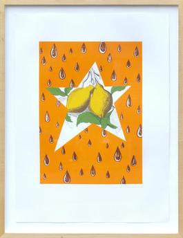 The Lemon Twig