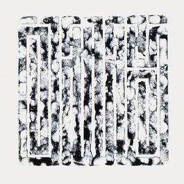 Dissolution 2