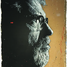 Dick Annegarn