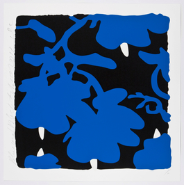 Blue and Blue, Feb 10, 2017