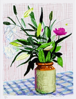 iPad drawing lilies