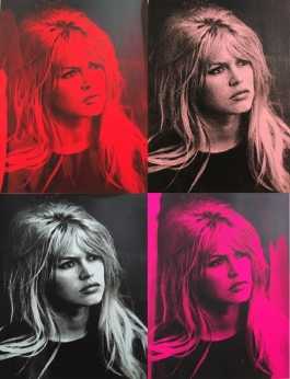 Brigitte Bardot Portfolio (4)