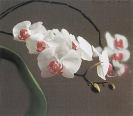 Orchid IV