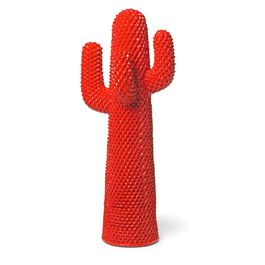 Cactus Rosso