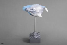 Defined whale 4
