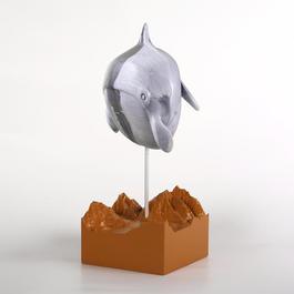 Compressed Killer Whale