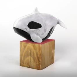 Killer Whale