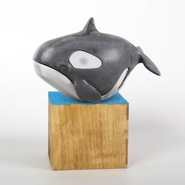 Killer Whale