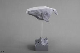 Defined whale 4