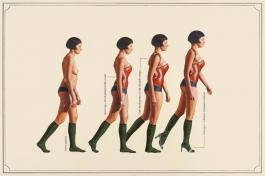 Human Evolution