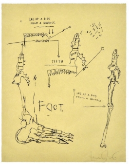 Leg Of A Dog, from Da Vinci
