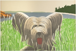 Dog At Duck Trap