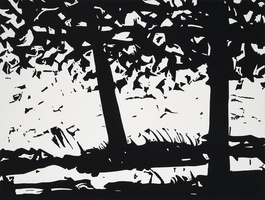 Maine Woods 1