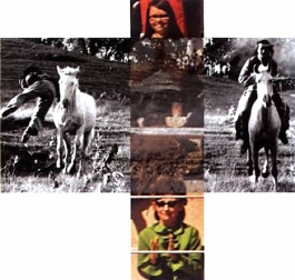 Person On Horse And Person Falling From Horse, With Audience from The Intersection Series