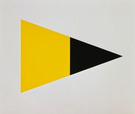 Black Yellow
