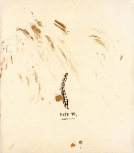 Untitled #2, from Leonardo Suite