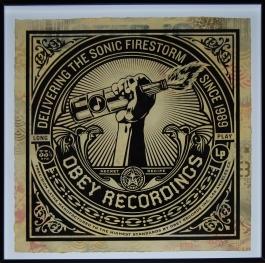 Sonic Firestorm HPM