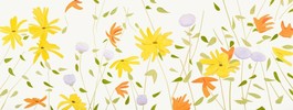 Summer Flowers