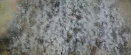 Hanami